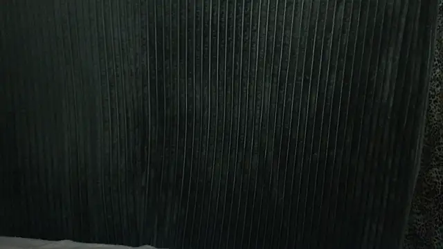 Snapshot of 1BECHA1 chatting on December 3, 2025, 7:49 am 1BECHA1 online show from December 3, 2025, 7:49 am