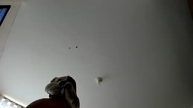 Snapshot of evely_coelloo chatting on September 9, 2025, 9:14 pm evely coelloo online show from September 9, 2025, 9:14 pm