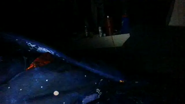 toast843 online show from February 9, 2025, 6:22 am