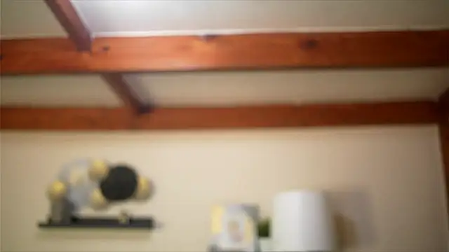 Bellis Perenis online show from February 18, 2026, 9:05 am