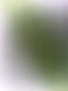 Snapshot of mrwright878787 chatting on December 27, 2024, 7:14 pm mrwright878787 online show from December 27, 2024, 7:14 pm