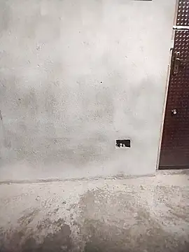 Snapshot of Priya-bhabi012 chatting on February 25, 2026, 7:29 am Priya-bhabi012 online show from February 25, 2026, 7:29 am