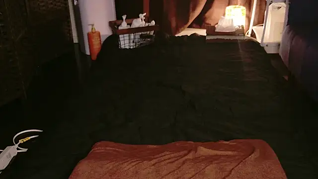 Snapshot of JP-MINT_oO_investigation_ chatting on October 8, 2025, 10:51 pm JP-MINT oO investigation online show from October 8, 2025, 10:51 pm