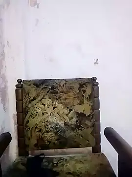 Bulbul 02 online show from March 5, 2025, 10:44 am