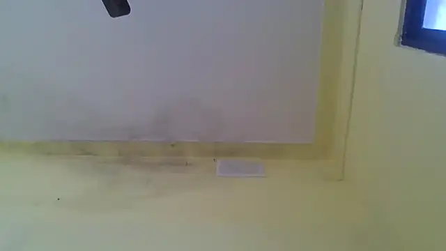 Snapshot of Nitya-Mahesh chatting on January 20, 2025, 9:24 am Nitya-Mahesh online show from January 20, 2025, 9:24 am