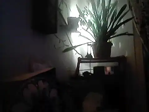 Bigpenis6y online show from December 30, 2024, 3:57 pm