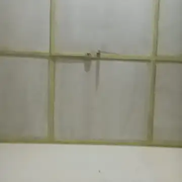 Aabhinashh online show from April 25, 2026, 7:33 pm