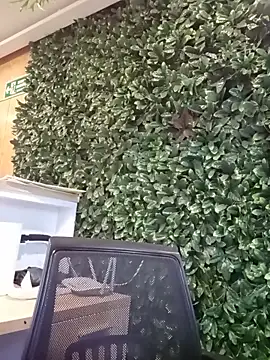   JaviJavi online show from March 15, 2026, 11:11 pm