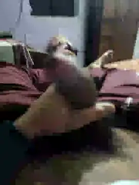 youngbull 21delhi online show from December 21, 2024, 8:28 am