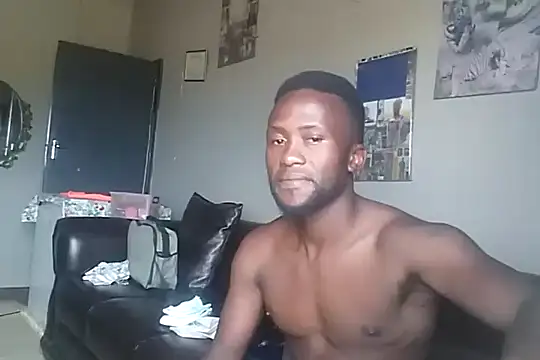 bull Giant online show from December 8, 2024, 11:46 am