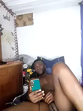 bull Giant online show from December 8, 2024, 10:14 pm