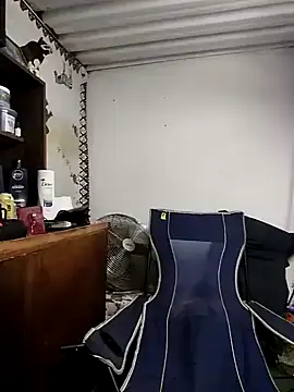 bull Giant online show from December 13, 2024, 8:04 pm