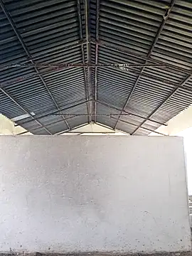 bull Giant online show from December 24, 2024, 2:44 pm