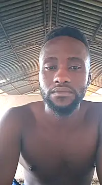 bull Giant online show from February 12, 2025, 4:33 pm