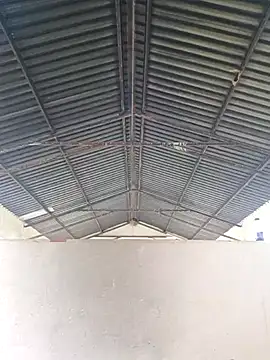 bull Giant online show from February 20, 2025, 11:42 am