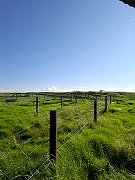 bull Giant online show from February 22, 2025, 3:03 pm