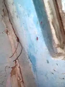 Natasha-In69 online show from February 6, 2026, 12:15 am