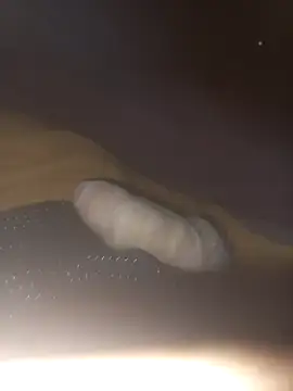 Eldelas guachas online show from December 1, 2025, 9:25 am