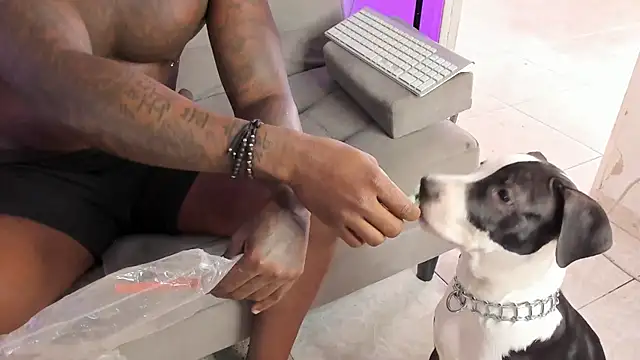 Snapshot of Dvid_Rullers chatting on September 16, 2025, 12:50 pm Dvid Rullers online show from September 16, 2025, 12:50 pm