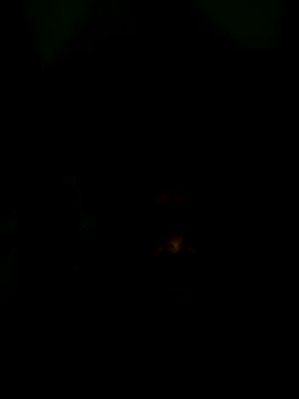 Long Laster online show from February 12, 2026, 6:03 pm