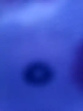 Mia ross16 online show from March 9, 2025, 6:11 pm