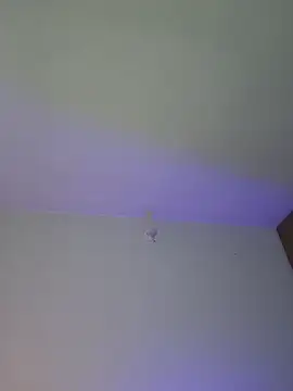 mich bittersweet online show from April 17, 2026, 11:19 pm