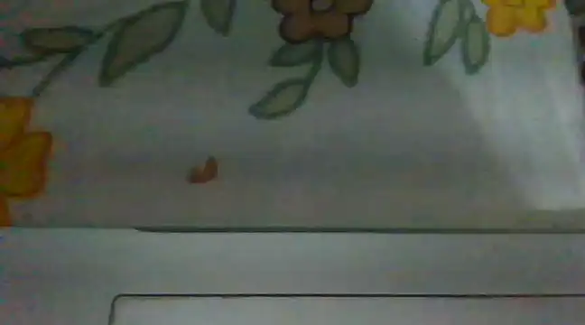 Snapshot of biggest_lund_ chatting on December 28, 2024, 12:45 pm biggest lund online show from December 28, 2024, 12:45 pm