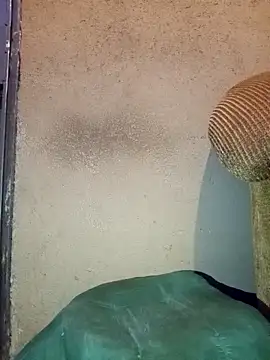 Snapshot of Thickcockzivyy chatting on February 20, 2026, 12:40 am Thickcockzivyy online show from February 20, 2026, 12:40 am