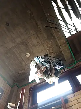 gigolopez1 online show from February 15, 2026, 12:14 pm