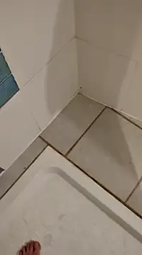 Ariete80s online show from February 21, 2025, 3:32 pm