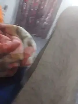 Srah0 online show from April 30, 2026, 11:38 am