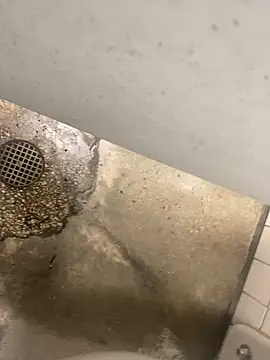 zeekBbc online show from December 10, 2024, 8:38 pm