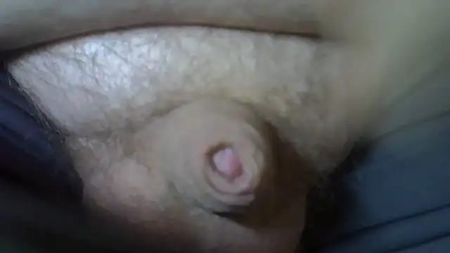 serbes ur online show from November 2, 2025, 1:24 pm