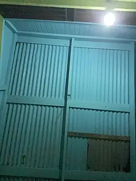 Snapshot of islandvybee55 chatting on February 5, 2026, 3:55 am islandvybee55 online show from February 5, 2026, 3:55 am