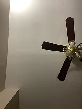 Snapshot of islandvybee55 chatting on March 17, 2026, 12:48 am islandvybee55 online show from March 17, 2026, 12:48 am