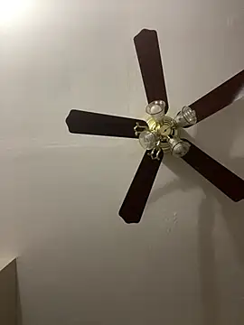 Snapshot of islandvybee55 chatting on March 25, 2026, 2:56 pm islandvybee55 online show from March 25, 2026, 2:56 pm