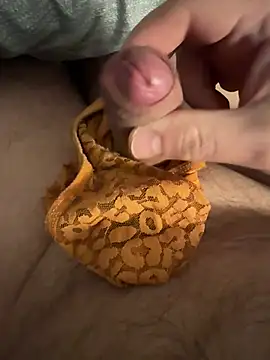 Voyeurpervert69 online show from February 13, 2026, 10:06 pm