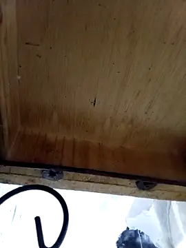 DaniSexFlow online show from October 13, 2025, 4:34 am