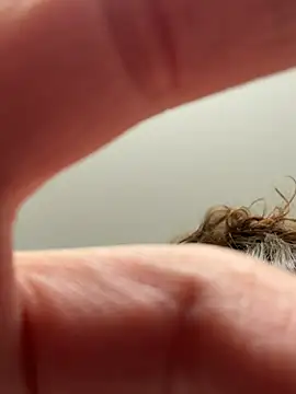 laninasub online show from April 23, 2026, 3:30 am