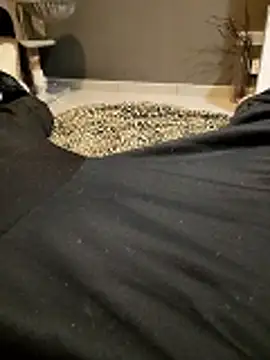 HotBoy6699 online show from February 11, 2026, 2:16 am