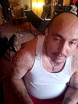 wilsons12 online show from April 13, 2026, 10:26 pm