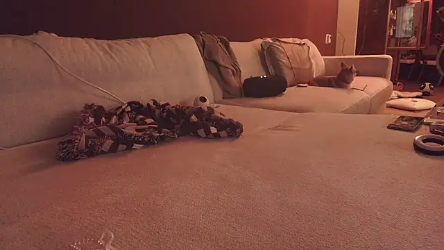 Nina24 online show from October 16, 2025, 6:42 pm