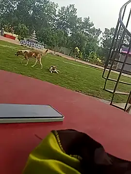 Snapshot of Mmm992170 chatting on December 24, 2024, 11:06 am Mmm992170 online show from December 24, 2024, 11:06 am