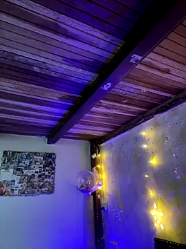 SophiaWeestt99 online show from November 29, 2025, 2:36 am