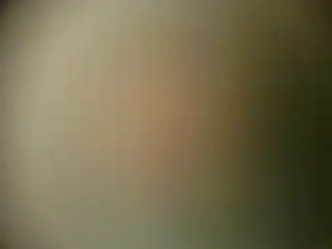 Snapshot of TheSweetBerry chatting on March 28, 2026, 12:16 pm TheSweetBerry online show from March 28, 2026, 12:16 pm