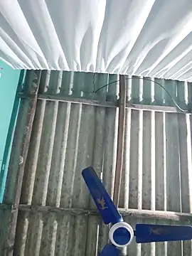 hotbaby 5 online show from November 29, 2025, 1:08 am