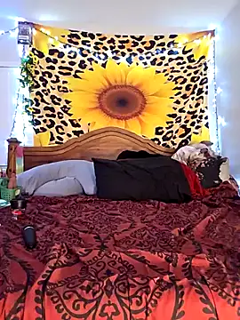 GoddessNikolia online show from February 24, 2026, 2:53 am