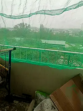 Pau de mel20 online show from October 8, 2025, 10:35 am