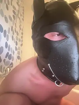 Snapshot of PlayDog123 chatting on March 6, 2025, 5:22 pm PlayDog123 online show from March 6, 2025, 5:22 pm