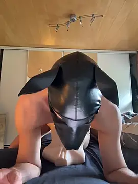 Snapshot of PlayDog123 chatting on October 4, 2025, 12:03 pm PlayDog123 online show from October 4, 2025, 12:03 pm